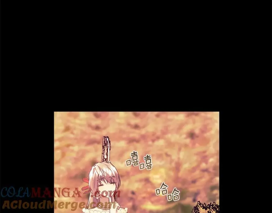 第216页