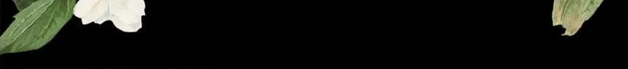 第483页