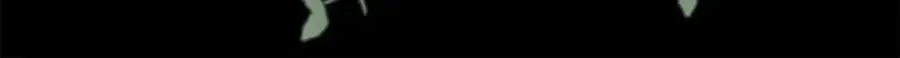 第417页