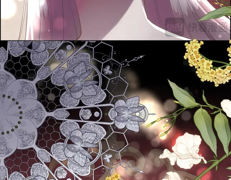 第231页