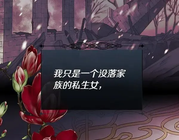 第255页