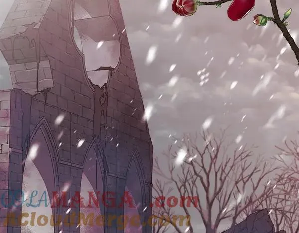 第252页
