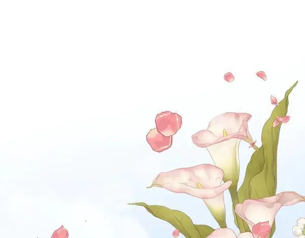 第375页