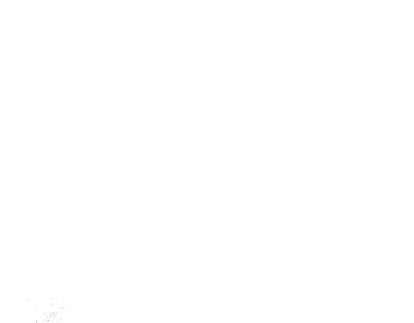 第534页
