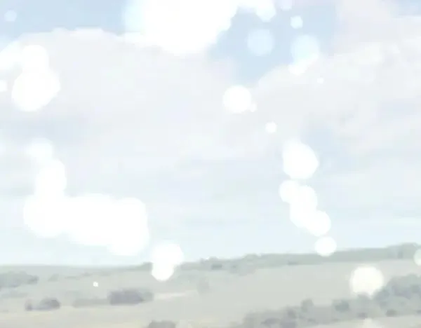 第345页