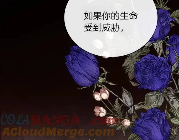 第516页