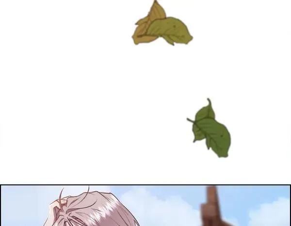 第315页