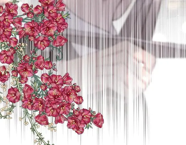 第222页