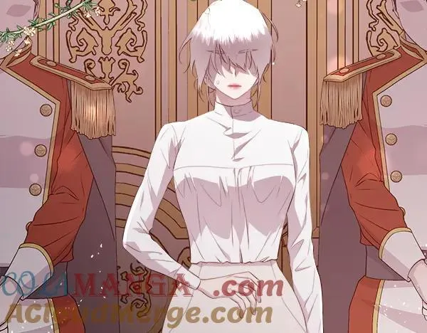 第216页