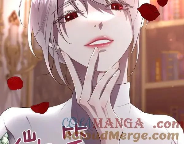 第336页
