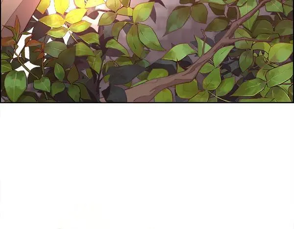 第369页