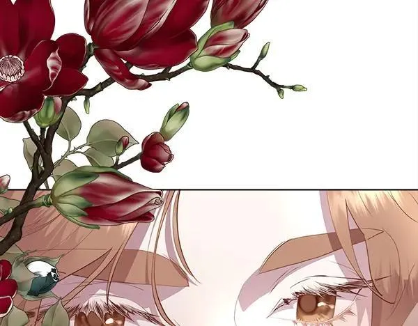 第234页