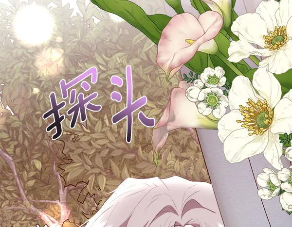 第513页