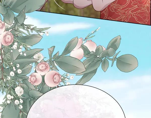 第495页