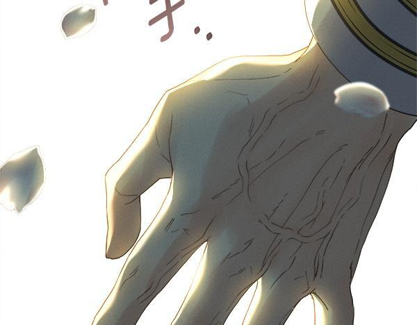 第258页