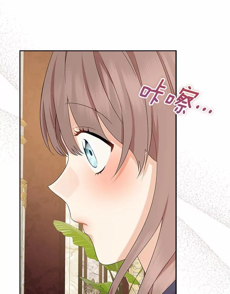 第246页
