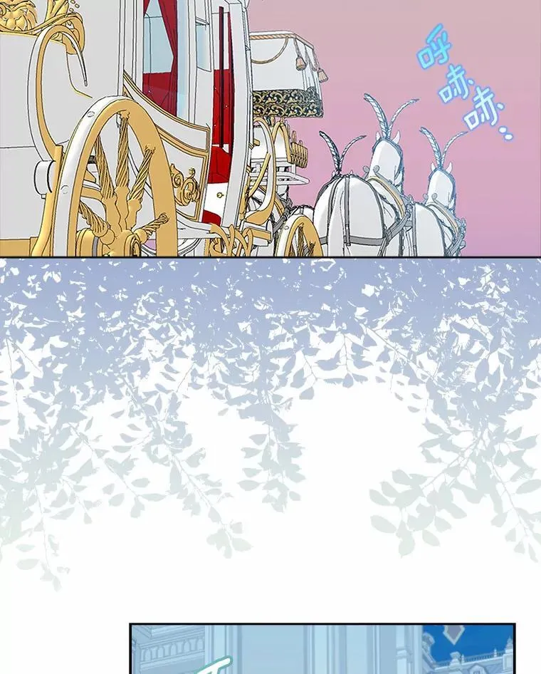第243页