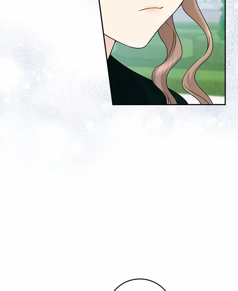 第441页