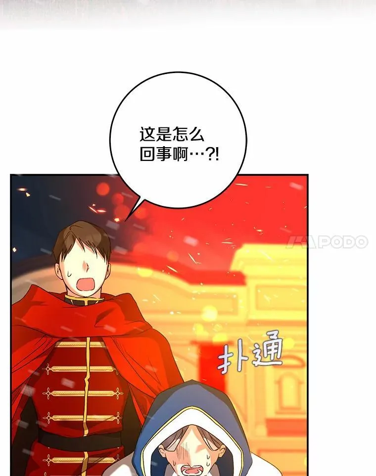 第333页