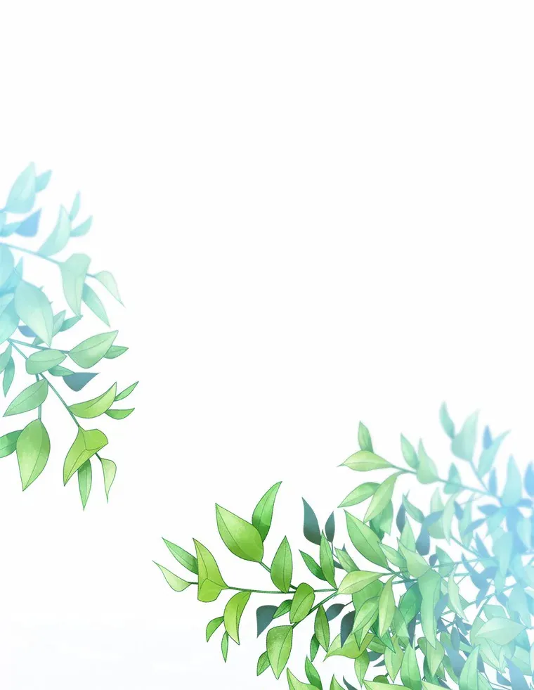 第243页