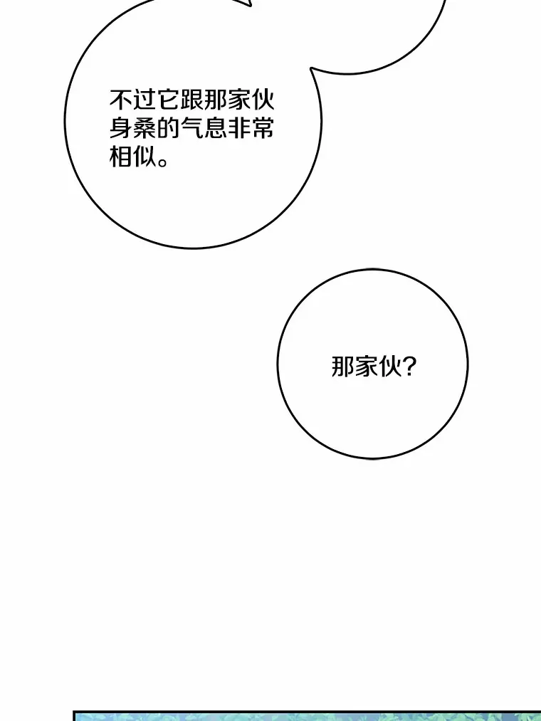 第255页