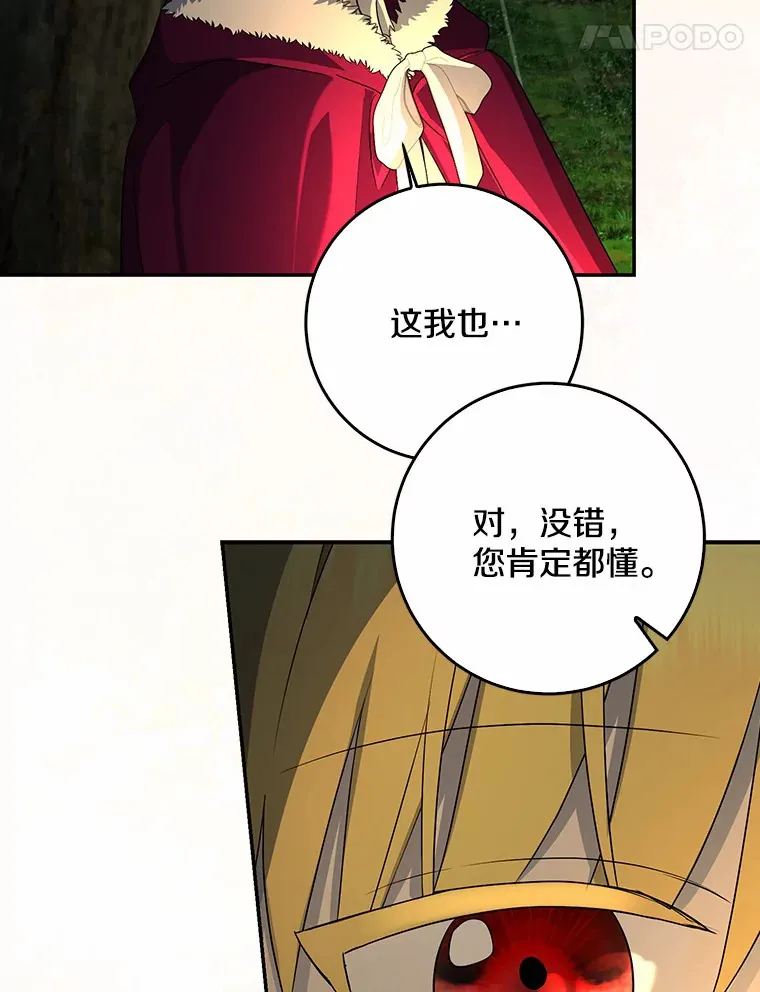 第411页