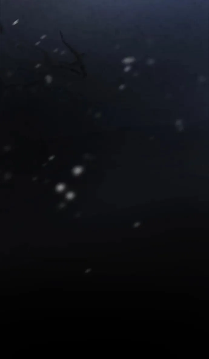 第291页