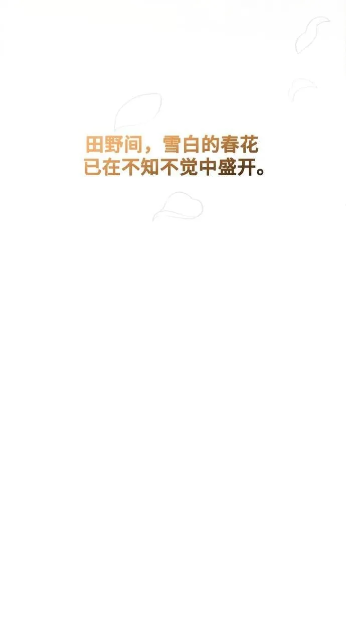 第255页
