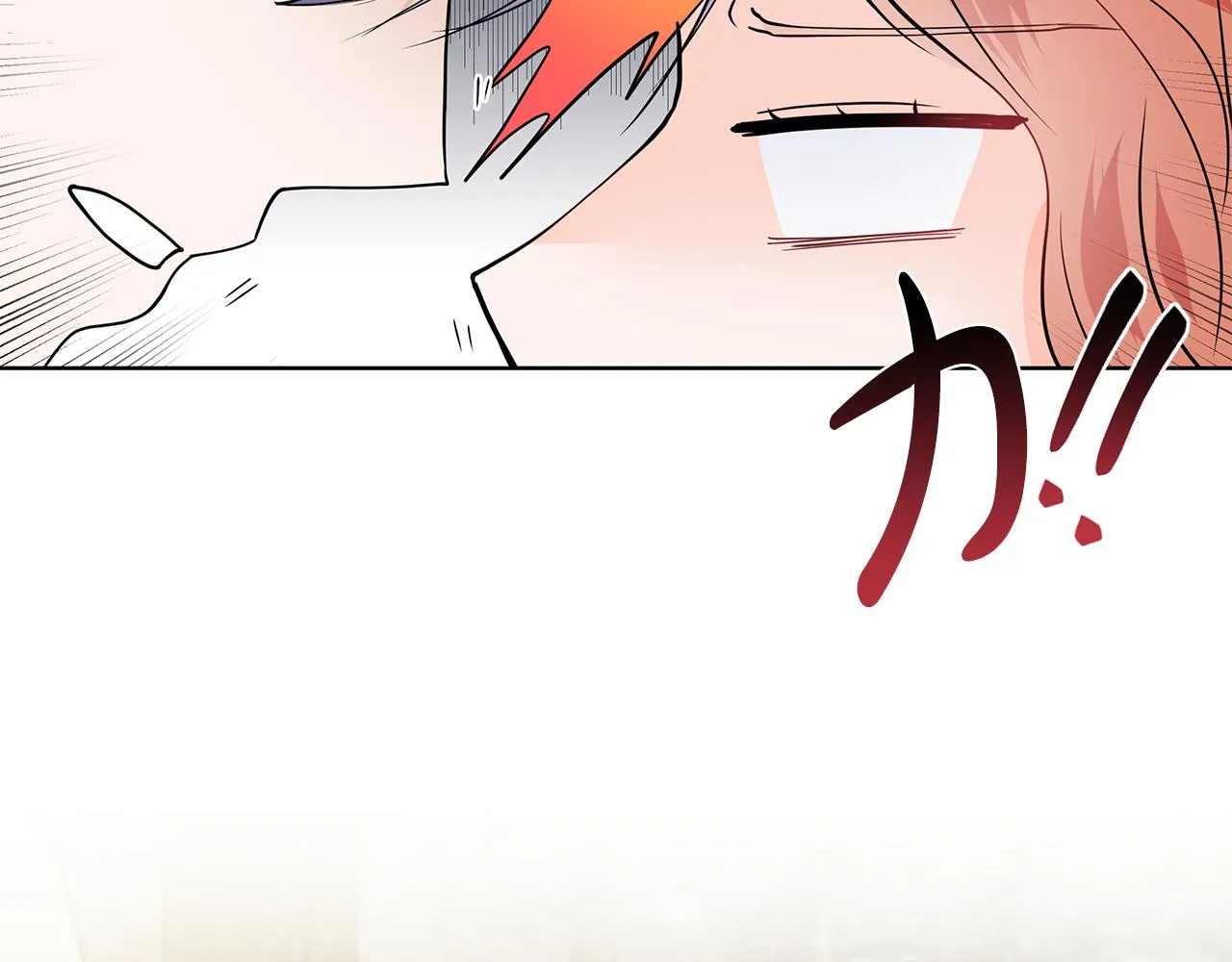 第282页