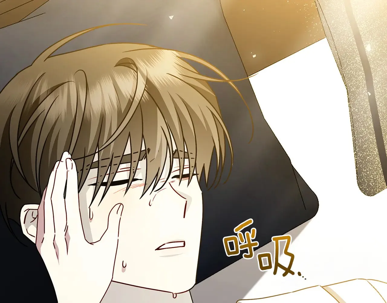 第216页