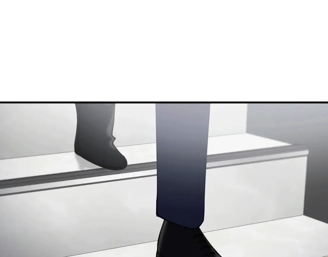 第240页