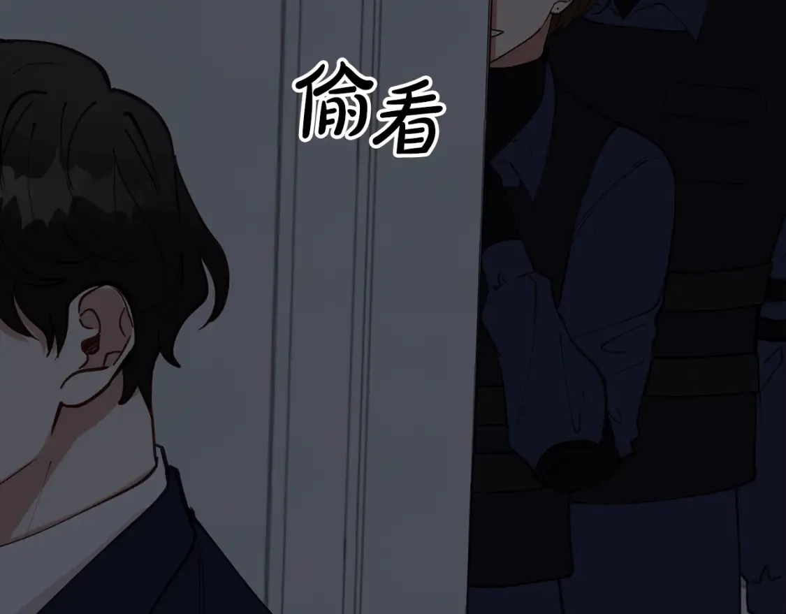 第537页
