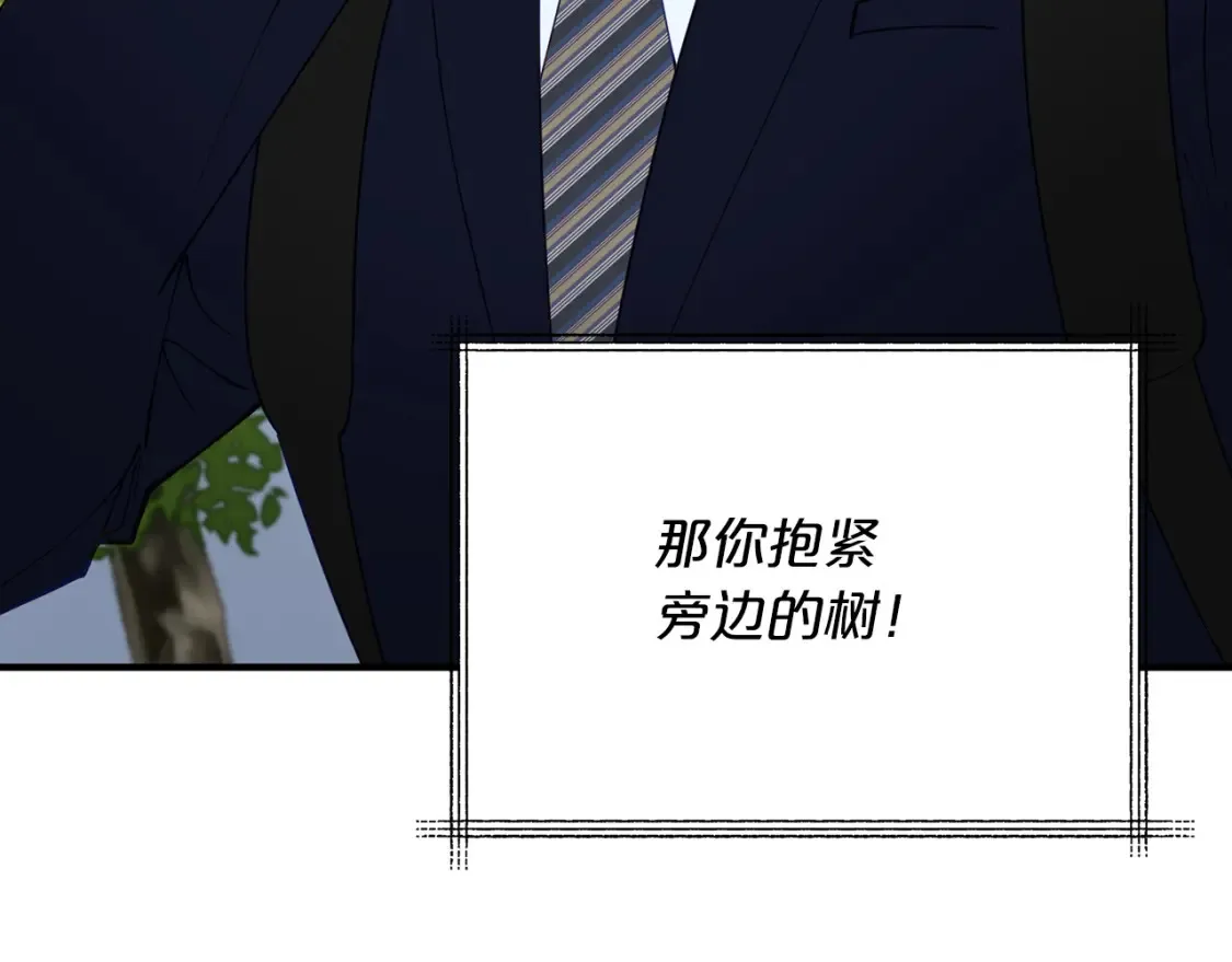 第330页