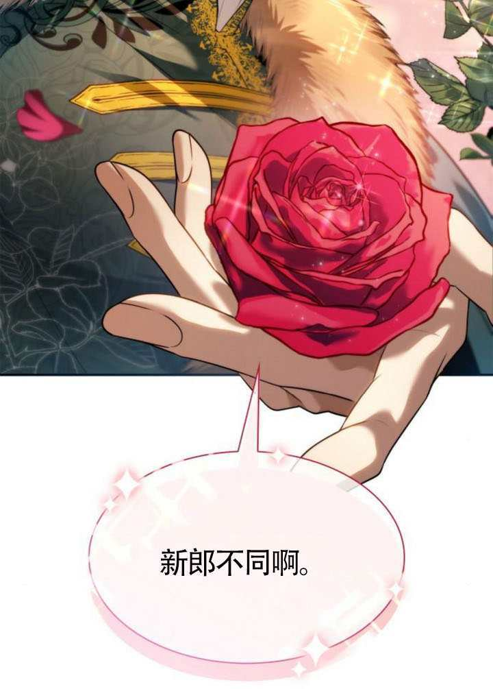 第219页