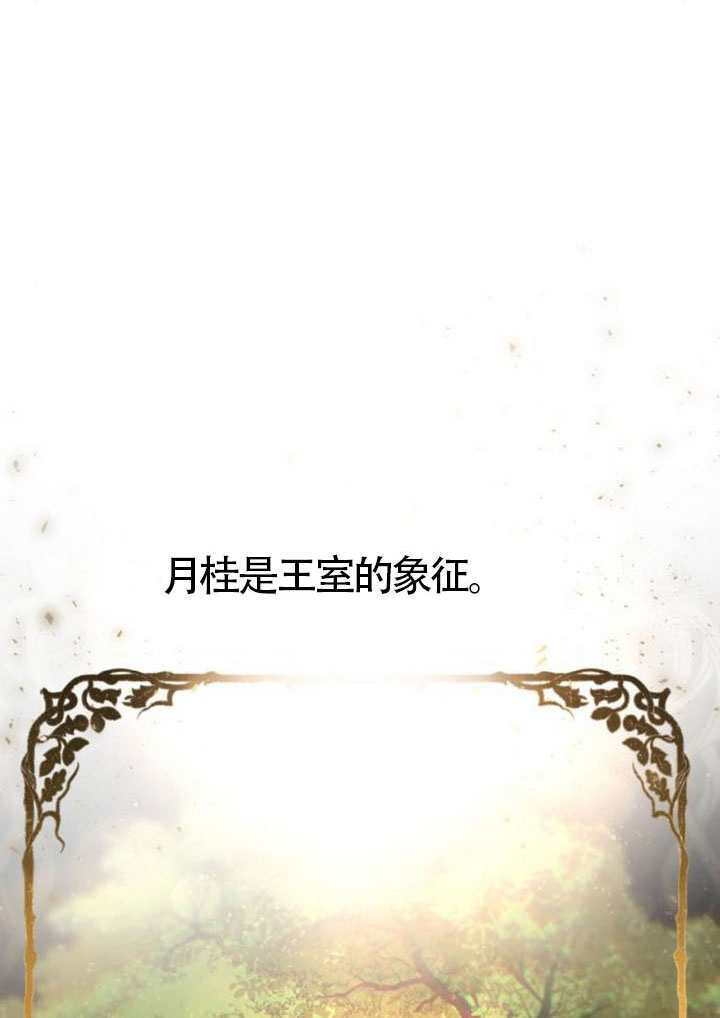 第411页