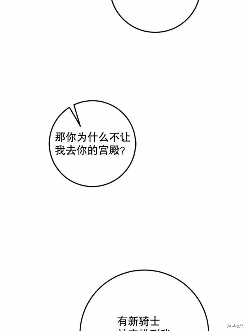 第231页