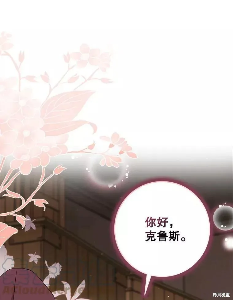 第204页