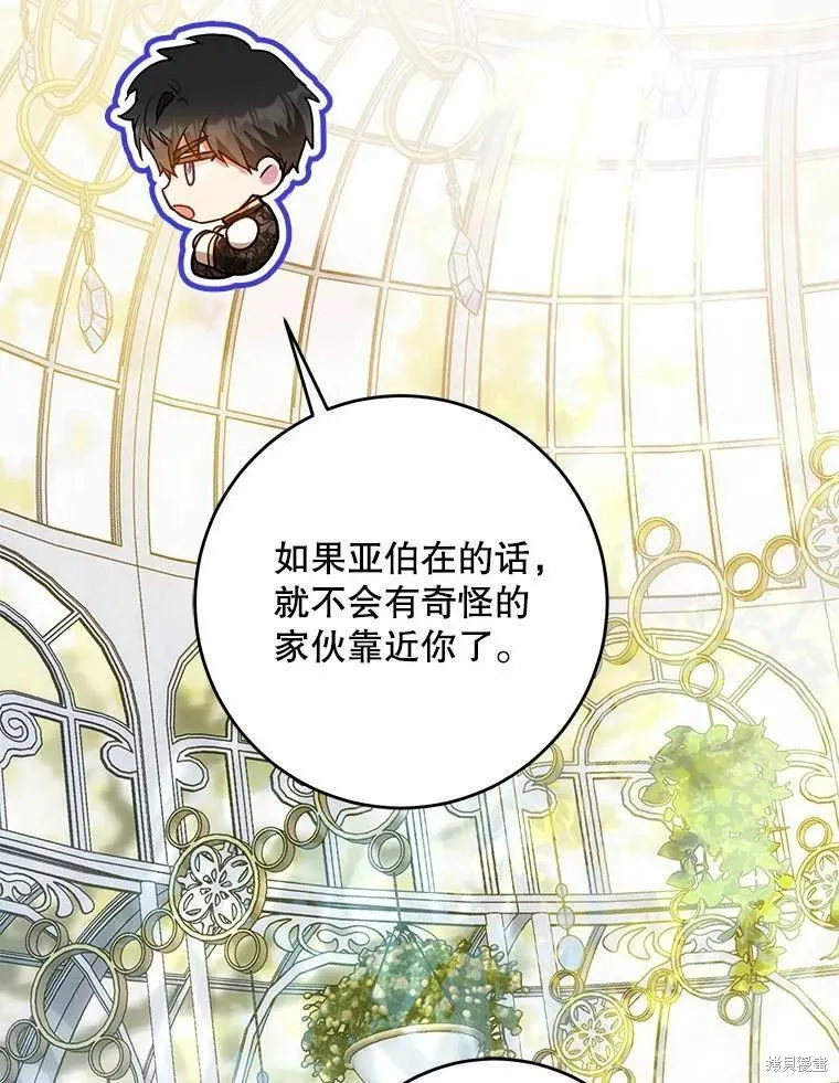 第213页