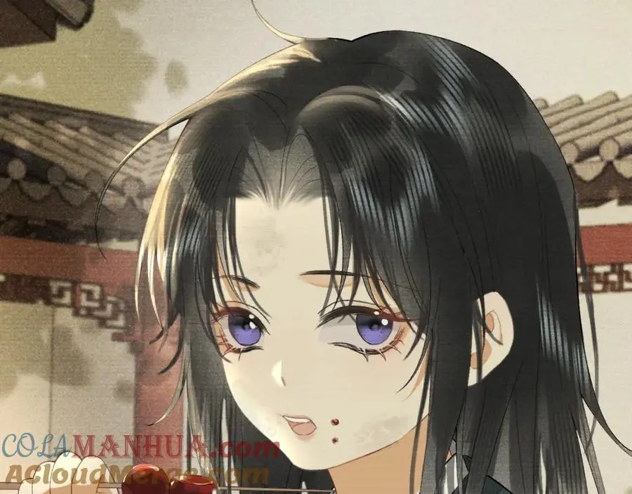 第204页