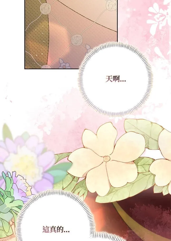 第258页
