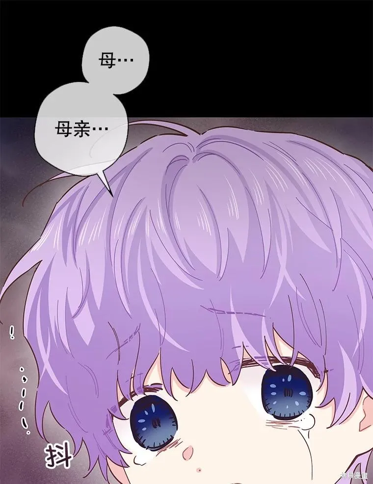 第231页