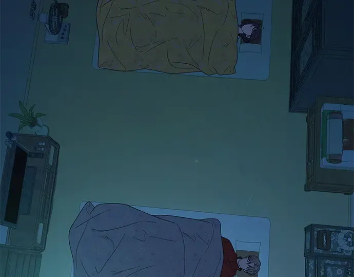第204页