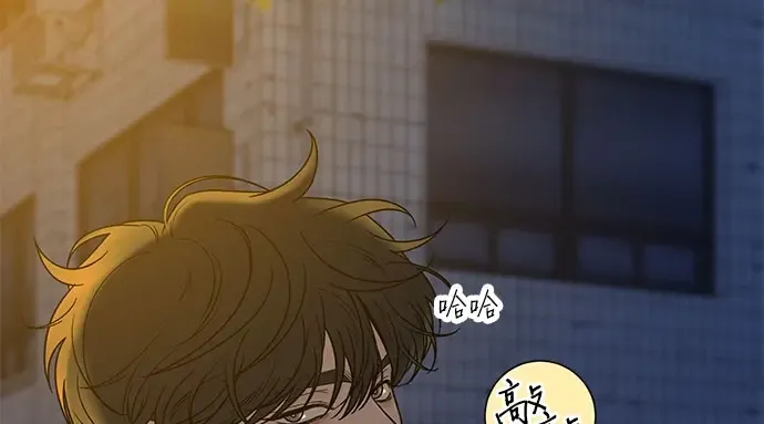第513页