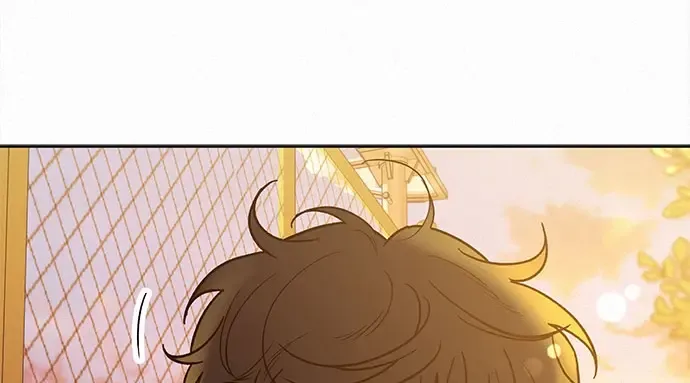 第249页