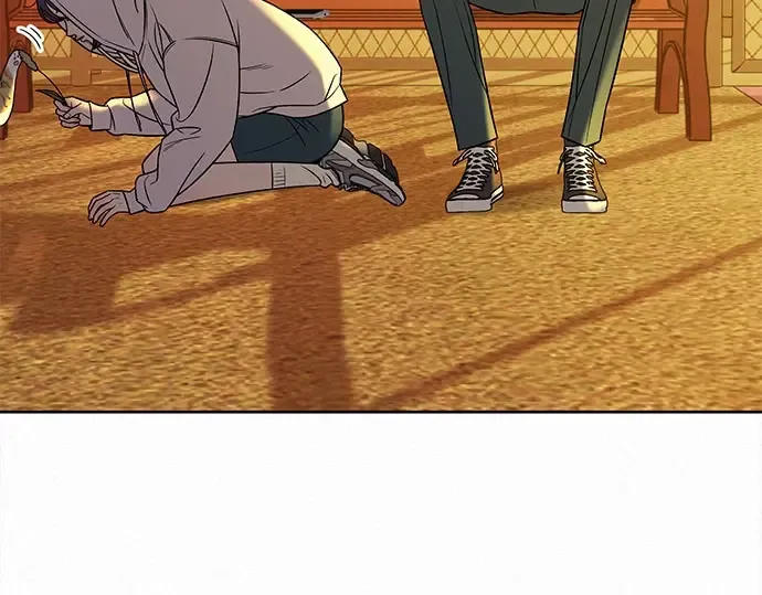 第246页