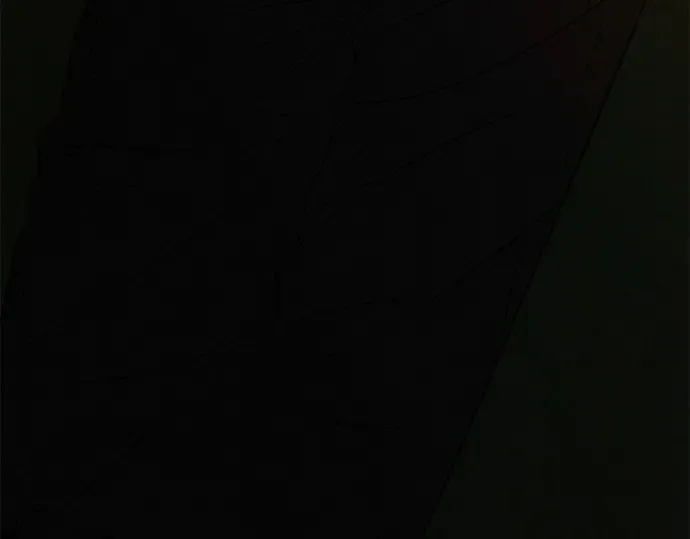 第369页