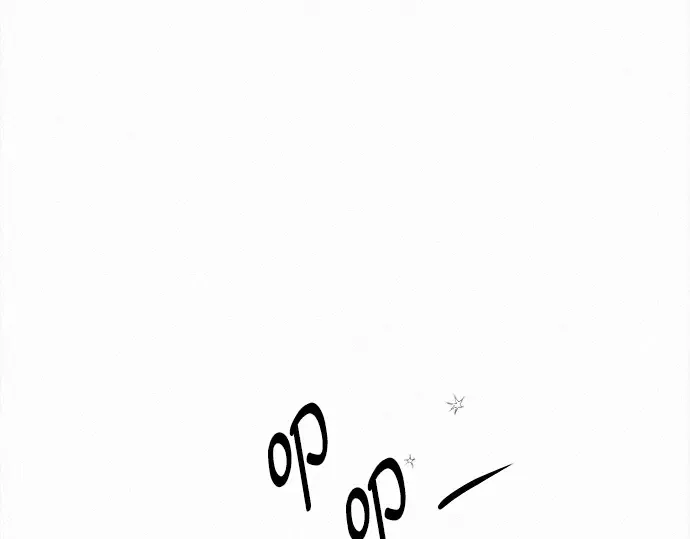 第504页