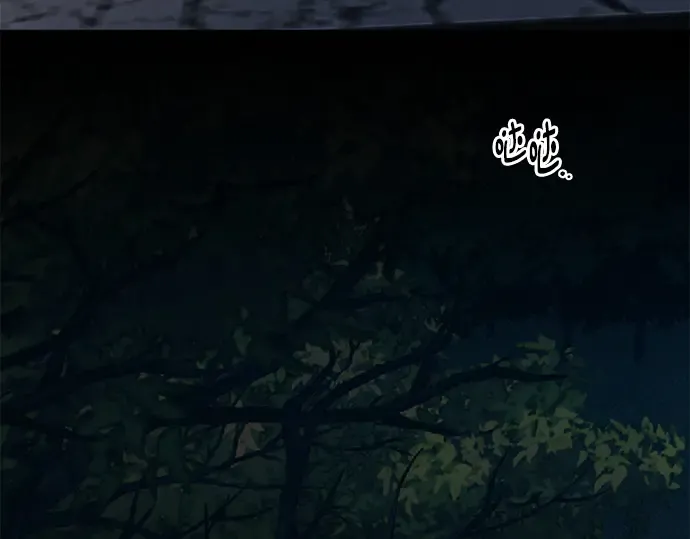 第246页