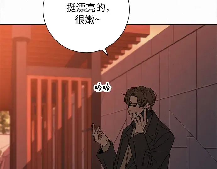 第423页