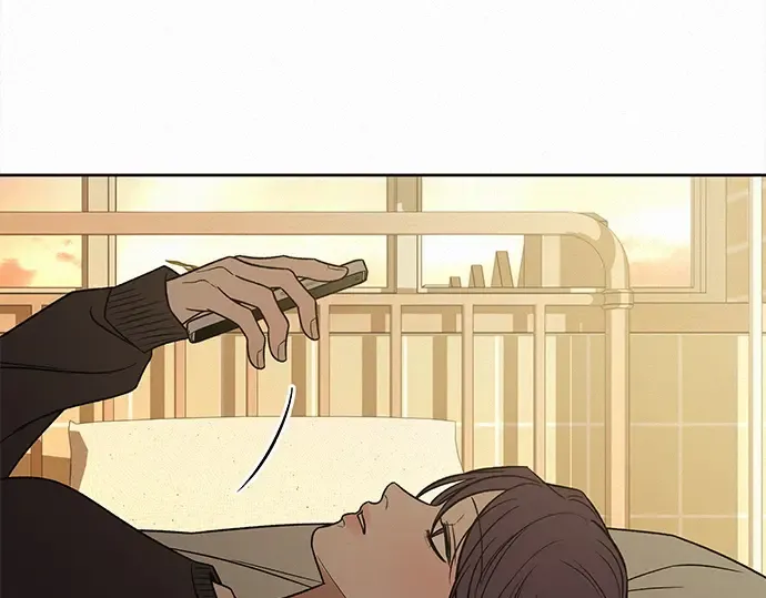第441页